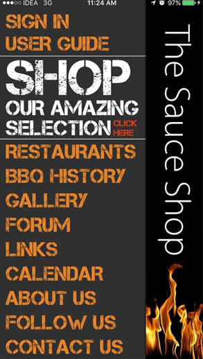 iphone app development picture4